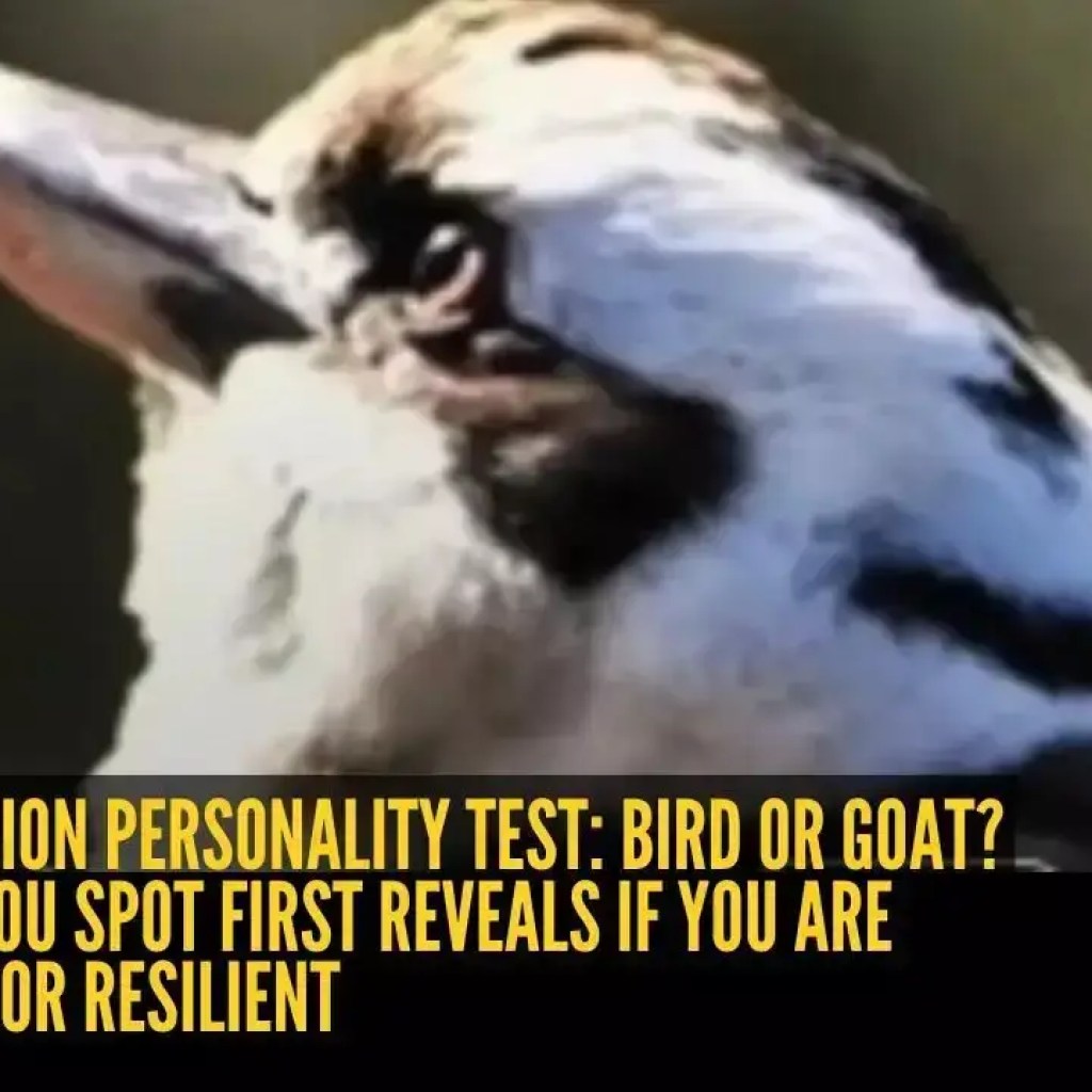 ஆப்டிகல் மாயை ஆளுமை சோதனை: பறவை அல்லது ஆடு? நீங்கள் சுதந்திரமாக அல்லது நெகிழ்ச்சியுடன் உள்ளீர்களா என்பதை முதலில் நீங்கள் காணும் விலங்கு வெளிப்படுத்துகிறது – தி டைம்ஸ் ஆஃப் இந்தியா ஆப்டிகல் மாயை ஆளுமை சோதனை: பறவை அல்லது ஆடு? நீங்கள் சுதந்திரமாக அல்லது நெகிழ்ச்சியுடன் உள்ளீர்களா என்பதை முதலில் நீங்கள் காணும் விலங்கு வெளிப்படுத்துகிறது – தி டைம்ஸ் ஆஃப் இந்தியா