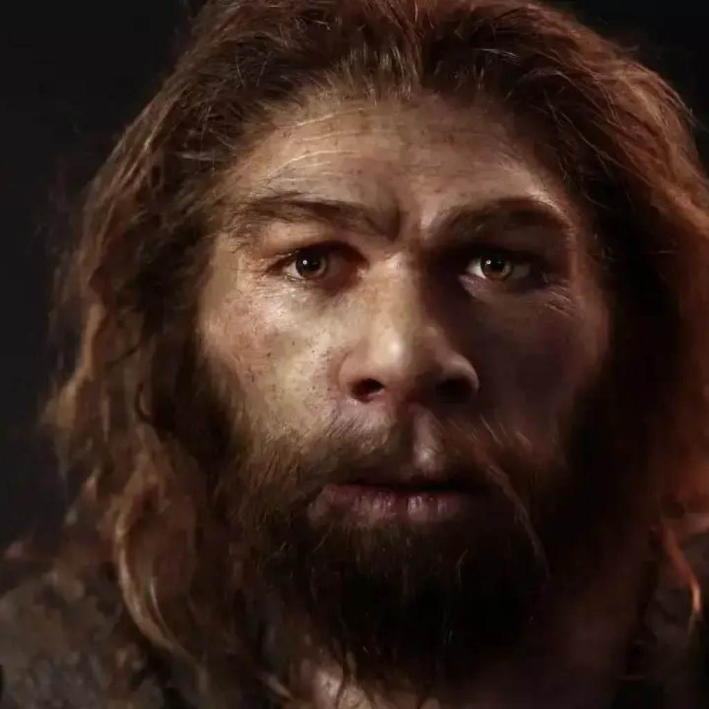 நியண்டர்டால் ஆண்கள் மனிதப் பெண்களை அடிக்கடி தேர்ந்தெடுத்திருக்கலாம், மனித வரலாற்றை மாற்றியமைத்திருக்கலாம்: டிஎன்ஏ ஆய்வு | – டைம்ஸ் ஆஃப் இந்தியா நியண்டர்டால் ஆண்கள் மனிதப் பெண்களை அடிக்கடி தேர்ந்தெடுத்திருக்கலாம், மனித வரலாற்றை மாற்றியமைத்திருக்கலாம்: டிஎன்ஏ ஆய்வு | – டைம்ஸ் ஆஃப் இந்தியா