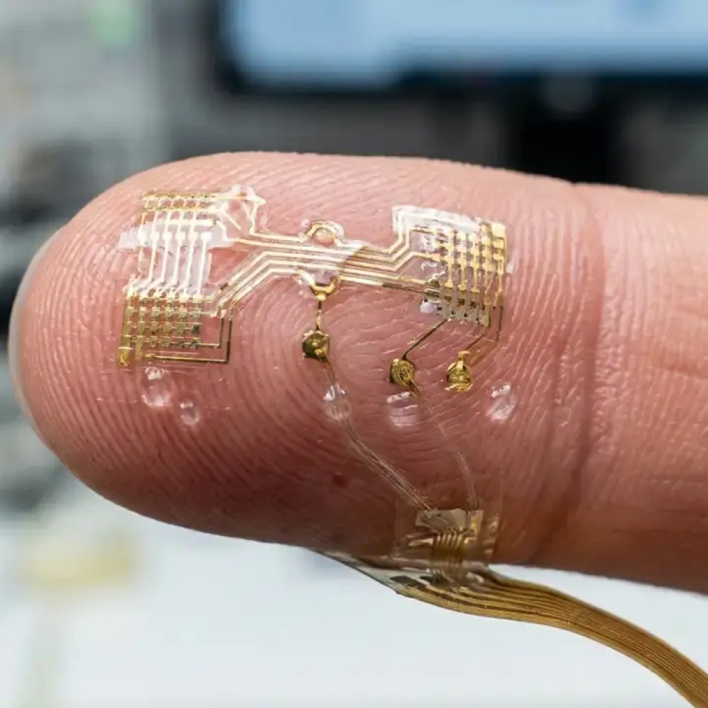 வியர்வையில் இருந்து மின்சாரம்: விஞ்ஞானிகள் வியர்வை உணரிகளை உருவாக்குகிறார்கள் மற்றும் தனிப்பட்ட சுகாதார கண்காணிப்பில் அவர்களின் எதிர்காலம் பிரகாசமாக தெரிகிறது | – டைம்ஸ் ஆஃப் இந்தியா வியர்வையில் இருந்து மின்சாரம்: விஞ்ஞானிகள் வியர்வை உணரிகளை உருவாக்குகிறார்கள் மற்றும் தனிப்பட்ட சுகாதார கண்காணிப்பில் அவர்களின் எதிர்காலம் பிரகாசமாக தெரிகிறது | – டைம்ஸ் ஆஃப் இந்தியா