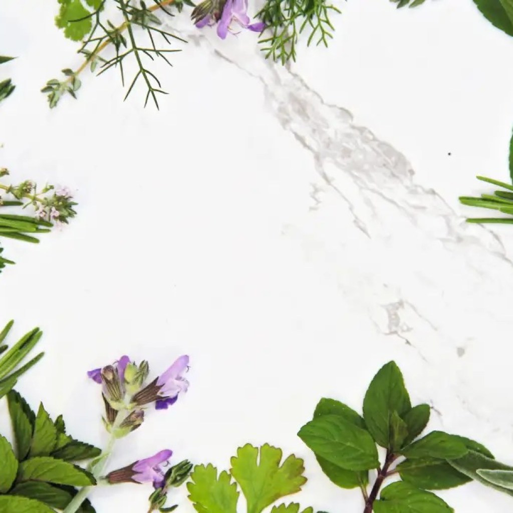 மூளை மூடுபனியை அழிக்கவும், மன தெளிவை அதிகரிக்கவும்க்கூடிய 6 சக்திவாய்ந்த மூலிகைகள் மூளை மூடுபனியை அழிக்கவும், மன தெளிவை அதிகரிக்கவும்க்கூடிய 6 சக்திவாய்ந்த மூலிகைகள்