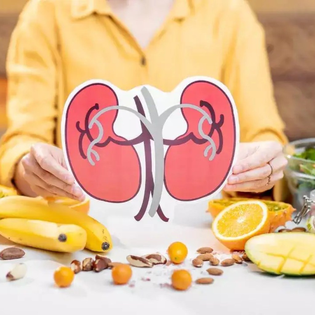 சிறுநீரக ஆரோக்கியத்திற்கான 5 சிறந்த பழங்கள்: செயல்பாட்டை எவ்வாறு அதிகரிப்பது மற்றும் இயற்கையாகவே பாதுகாப்பது சிறுநீரக ஆரோக்கியத்திற்கான 5 சிறந்த பழங்கள்: செயல்பாட்டை எவ்வாறு அதிகரிப்பது மற்றும் இயற்கையாகவே பாதுகாப்பது