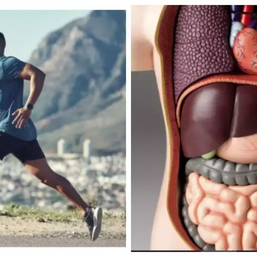 நடைபயிற்சி முதல் தியானம் வரை, உடலின் இந்த 8 உறுப்புகளுக்கு சிறந்த பயிற்சிகள் நடைபயிற்சி முதல் தியானம் வரை, உடலின் இந்த 8 உறுப்புகளுக்கு சிறந்த பயிற்சிகள்