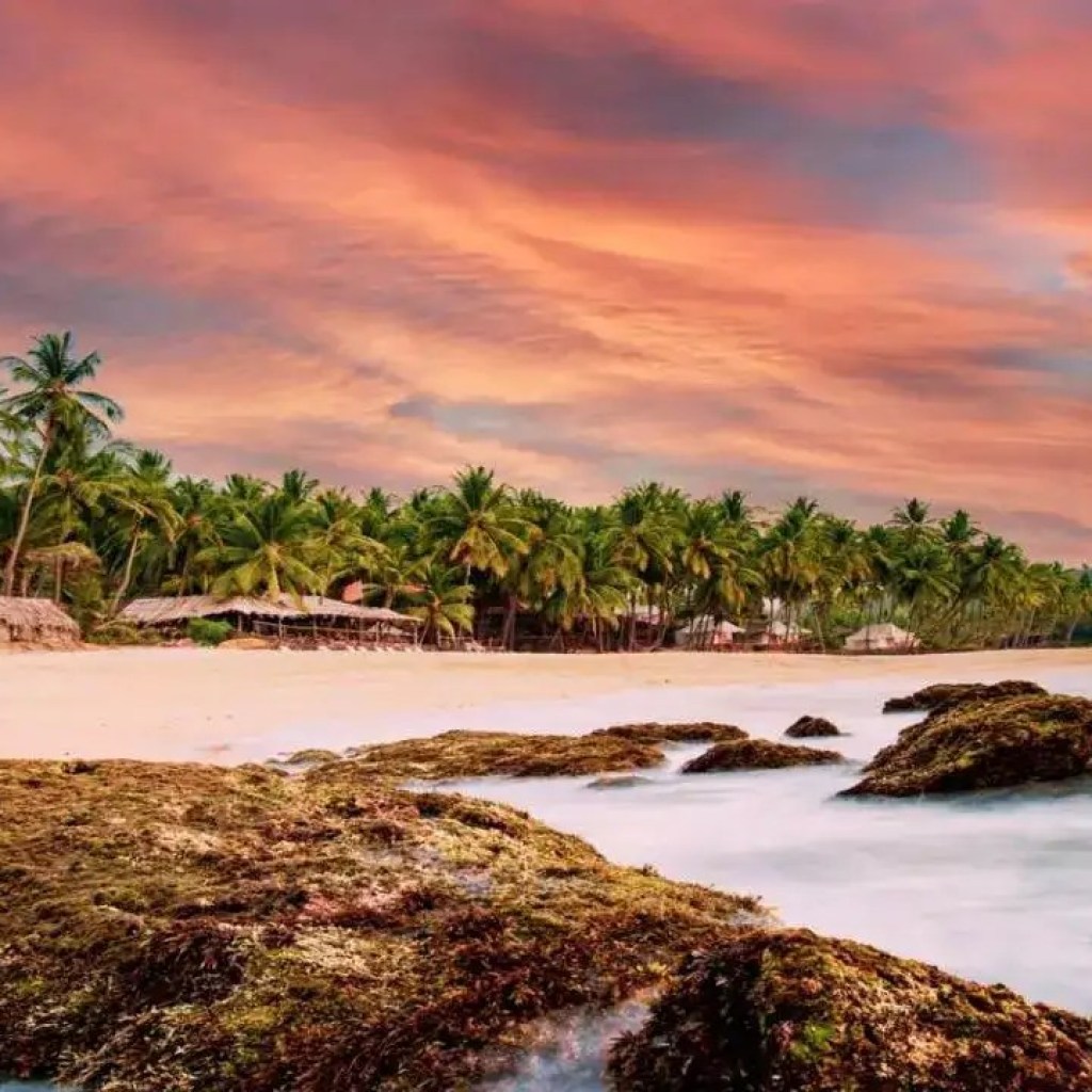 கோகர்னா முதல் வர்காலா வரை-இந்தியாவின் 8 அழகான கடலோர நகரங்கள் இந்த வாழ்நாளில் கட்டாயம் பார்க்க வேண்டியவை கோகர்னா முதல் வர்காலா வரை-இந்தியாவின் 8 அழகான கடலோர நகரங்கள் இந்த வாழ்நாளில் கட்டாயம் பார்க்க வேண்டியவை