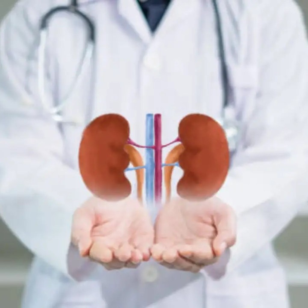 சிறுநீரக சேதம் மற்றும் உயர் பிபி: நீங்கள் நினைப்பதை விட இரத்த அழுத்தம் மற்றும் சிறுநீரகங்கள் ஏன் அதிகம் இணைக்கப்பட்டுள்ளன சிறுநீரக சேதம் மற்றும் உயர் பிபி: நீங்கள் நினைப்பதை விட இரத்த அழுத்தம் மற்றும் சிறுநீரகங்கள் ஏன் அதிகம் இணைக்கப்பட்டுள்ளன