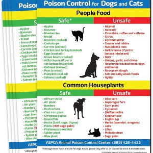 Safe and Toxic Foods and Plants for Dogs and Cats Fridge...
