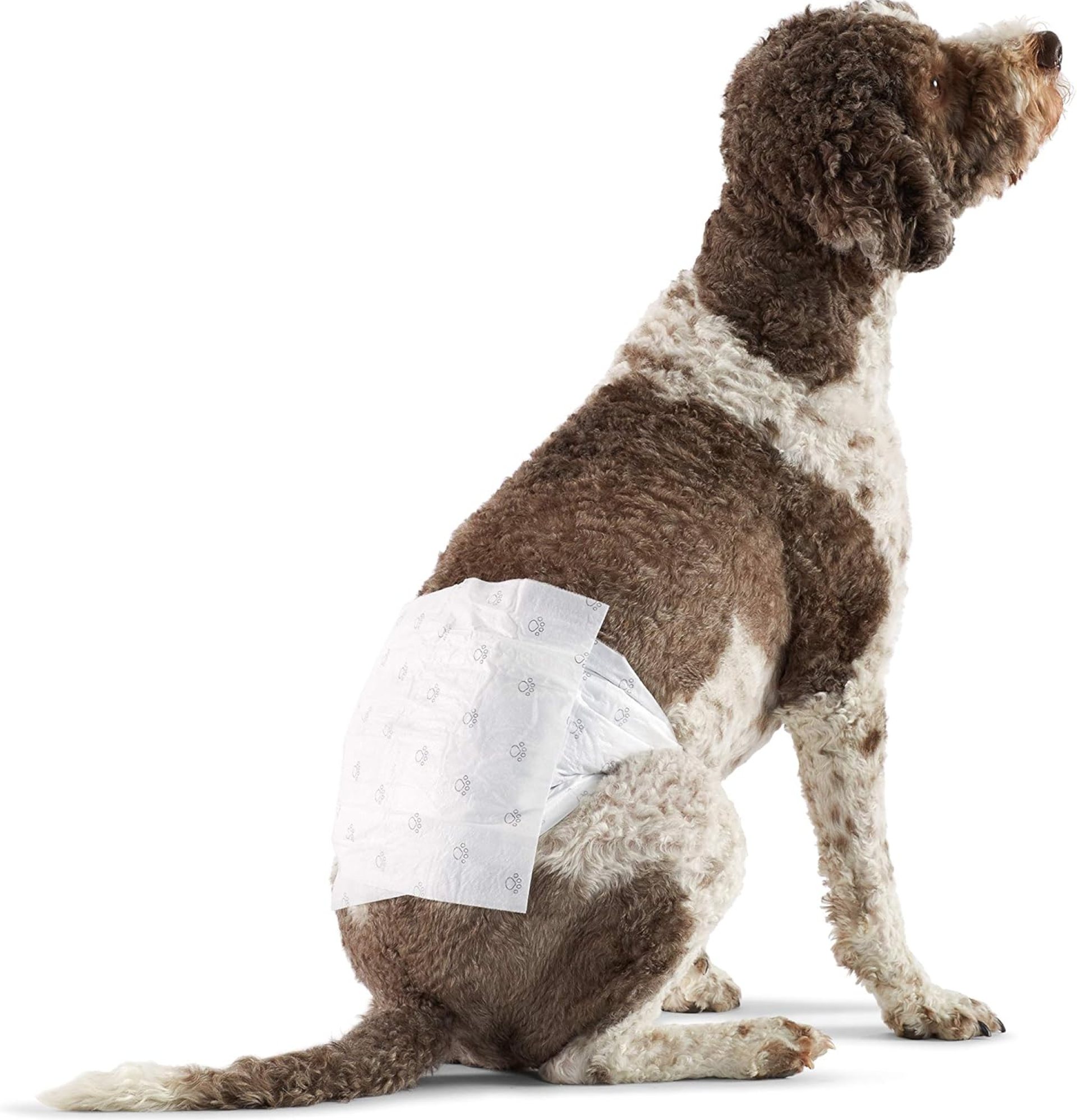 Amazon Basics Male Dog Diapers, 30 Count, Large, Ultra Absorbent Disposable Wrap with Secure Fit, Leakproof and Comfortable Amazon Basics Male Dog Diapers, 30 Count, Large, Ultra Absorbent Disposable Wrap with Secure Fit, Leakproof and Comfortable