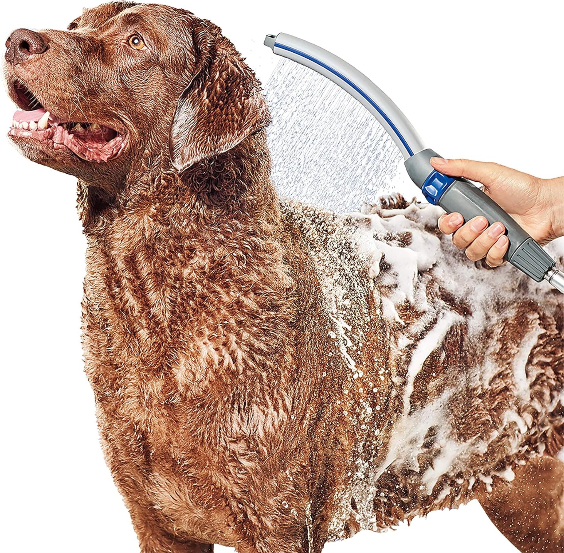 Waterpik Pet Wand Pro Dog Shower Attachment for Fast and Easy Dog Bathing and Cleaning, Indoor and Outdoor Sprayer Includes 8-Foot Flex Hose, Blue/Grey, PPR-252E Waterpik Pet Wand Pro Dog Shower Attachment for Fast and Easy Dog Bathing and Cleaning, Indoor and Outdoor Sprayer Includes 8-Foot Flex Hose, Blue/Grey, PPR-252E