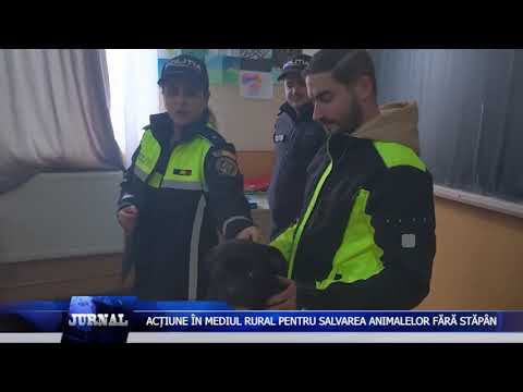 ACȚIUNE ÎN MEDIUL RURAL PENTRU SALVAREA ANIMALELOR FĂRĂ STĂPÂN ACȚIUNE ÎN MEDIUL RURAL PENTRU SALVAREA ANIMALELOR FĂRĂ STĂPÂN