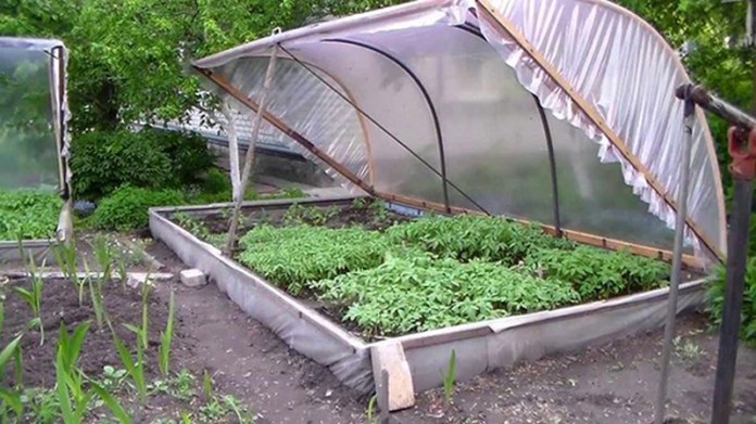 Agricultura pe înțelesul tuturor – Producerea răsadurilor și a legumelor în micile ferme comerciale și în grădinile familiale Agricultura pe înțelesul tuturor – Producerea răsadurilor și a legumelor în micile ferme comerciale și în grădinile familiale