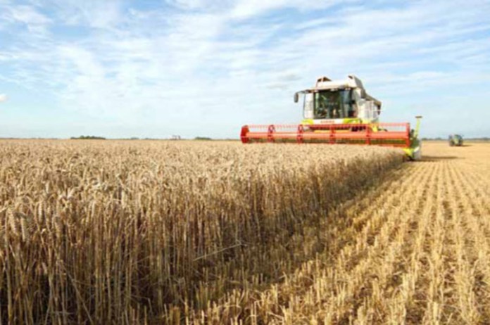 Agricultura pe înțelesul tuturor – Graficul lucrărilor agricole în luna august Agricultura pe înțelesul tuturor – Graficul lucrărilor agricole în luna august