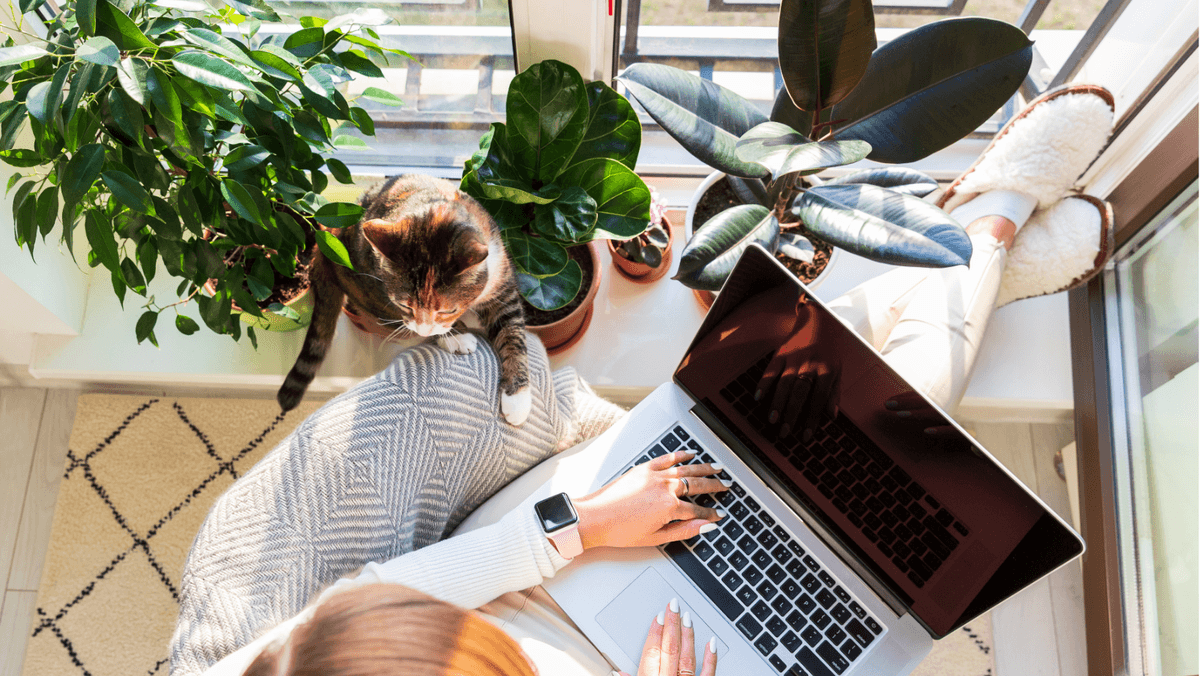 Kembangkan Bisnis Freelance Anda: Strategi untuk Memperluas … Kembangkan Bisnis Freelance Anda: Strategi untuk Memperluas …