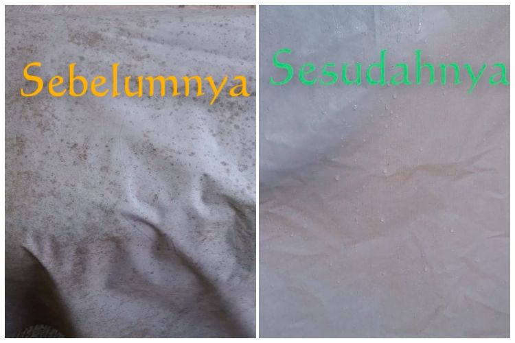 Trik Menghilangkan Noda Jamur di Jas Hujan Pakai 1 Bahan Dapur, Sekali Pakai juga Kilat Langsung Trik Menghilangkan Noda Jamur di Jas Hujan Pakai 1 Bahan Dapur, Sekali Pakai juga Kilat Langsung