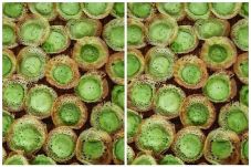 Cara membuat kue kera di rumah, enak serta aman dari kegagalan Cara membuat kue kera di rumah, enak serta aman dari kegagalan