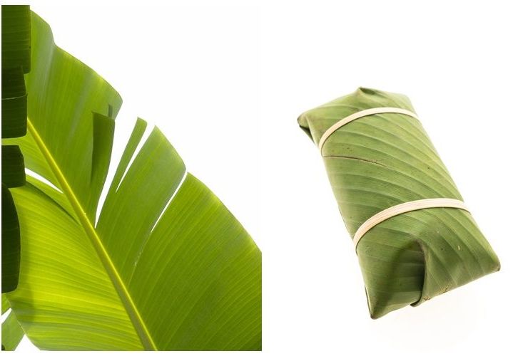 Cara Membengkokkan Daun Pisang Agar Sepertinya tidak Mudah Robek dan Mudah Dibentuk Tanpa Dijemur Cara Membengkokkan Daun Pisang Agar Sepertinya tidak Mudah Robek dan Mudah Dibentuk Tanpa Dijemur