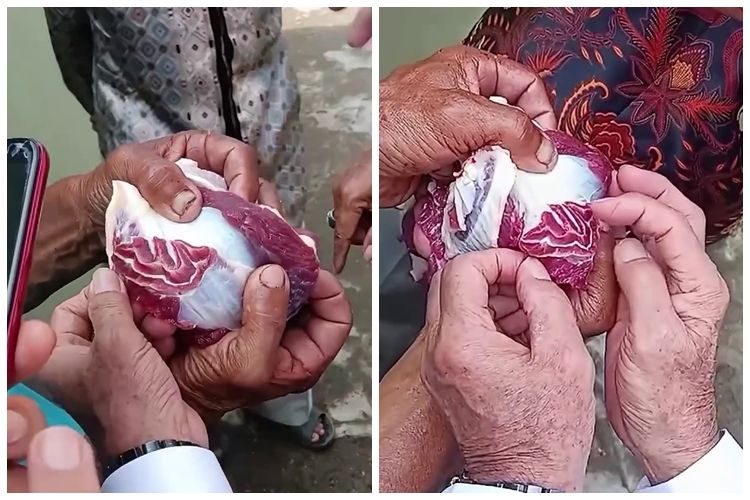 Kemunculan potongan daging kurban bertuliskan makna Allah sempat membuat heboh warga di Palembang Kemunculan potongan daging kurban bertuliskan makna Allah sempat membuat heboh warga di Palembang