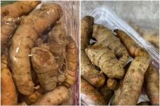 Bukan dengan menggunakan dibekukan, ini trik menyimpan jahe dan kunyit agar tetap segar mencapai 1 bulan Bukan dengan menggunakan dibekukan, ini trik menyimpan jahe dan kunyit agar tetap segar mencapai 1 bulan