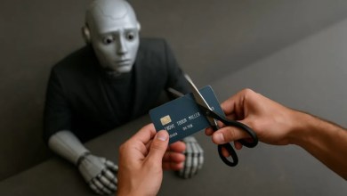 New payment provider in crisis, Trump signs anti-cheese bill New payment provider in crisis, Trump signs anti-cheese bill