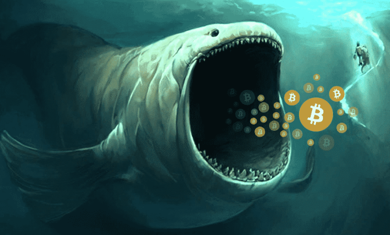 What happened to Bitcoin Whale, which opened a short position of billion? What happened to Bitcoin Whale, which opened a short position of billion?
