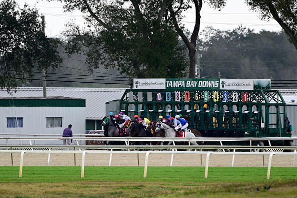 Horse Racing Picks Today at Tampa Bay Downs for Wednesday, March 4 Horse Racing Picks Today at Tampa Bay Downs for Wednesday, March 4