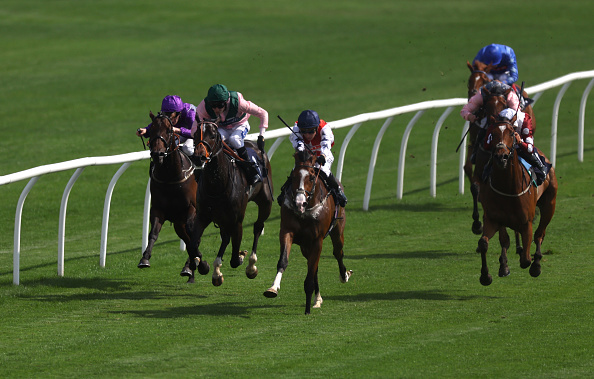 Blue Grass Stakes 2026 Entries, Horses, Odds, and Predictions Blue Grass Stakes 2026 Entries, Horses, Odds, and Predictions