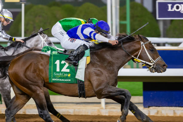 2026 Grade 2 Oaklawn Handicap at Oaklawn Park: Picks, preview, and analysis 2026 Grade 2 Oaklawn Handicap at Oaklawn Park: Picks, preview, and analysis