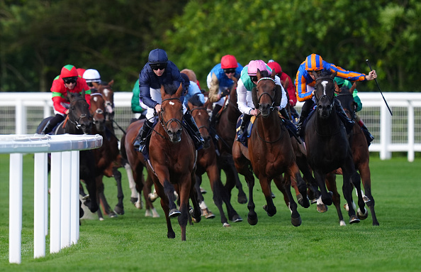 Horse Racing Picks for Saturday, March 28 from Mike Somich Horse Racing Picks for Saturday, March 28 from Mike Somich