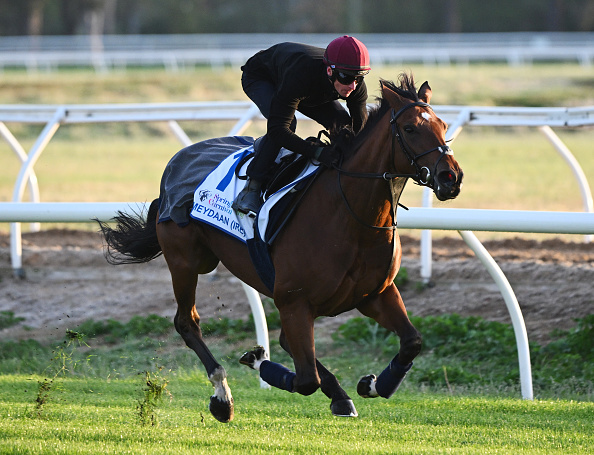 Breeders’ Cup 2025 Picks and Predictions: Expert Longshot Bets Breeders’ Cup 2025 Picks and Predictions: Expert Longshot Bets