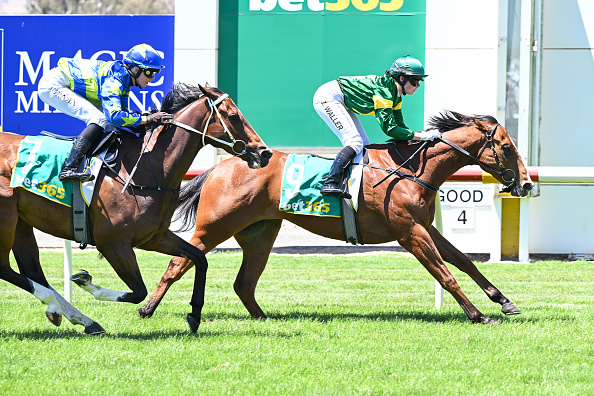 Fair Grounds Predictions: 1/ST BET Horse Racing Picks for December 18 Fair Grounds Predictions: 1/ST BET Horse Racing Picks for December 18