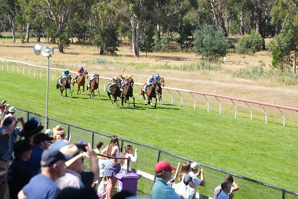 Horse Racing Picks Today at Tampa Bay Downs for Wednesday, January 28 Horse Racing Picks Today at Tampa Bay Downs for Wednesday, January 28