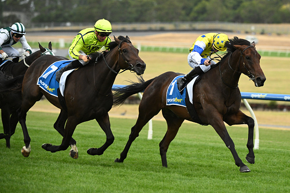 Horse Racing Picks Today at Gulfstream Park for Thursday, January 29 Horse Racing Picks Today at Gulfstream Park for Thursday, January 29