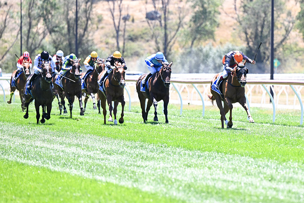 Horse Racing Picks Today at Turf Paradise for Thusday, February 12 Horse Racing Picks Today at Turf Paradise for Thusday, February 12