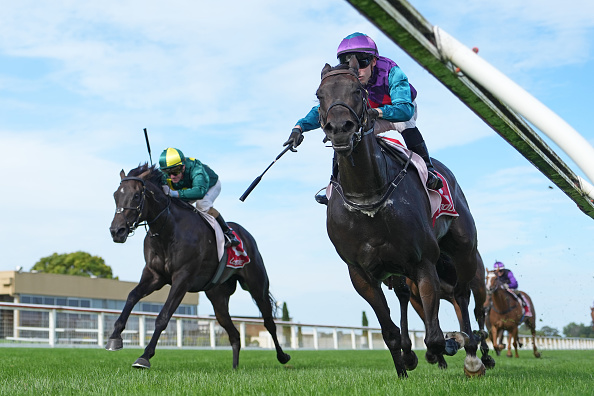 Horse Racing Picks Today at Turf Paradise for Monday, March 2 Horse Racing Picks Today at Turf Paradise for Monday, March 2