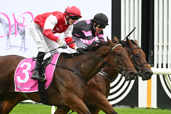 Horse Racing Picks Today at Oaklawn Park for Thursday, March 5 Horse Racing Picks Today at Oaklawn Park for Thursday, March 5