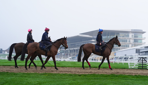 Horse Racing Picks Today at Turf Paradise for Monday, March 9 Horse Racing Picks Today at Turf Paradise for Monday, March 9