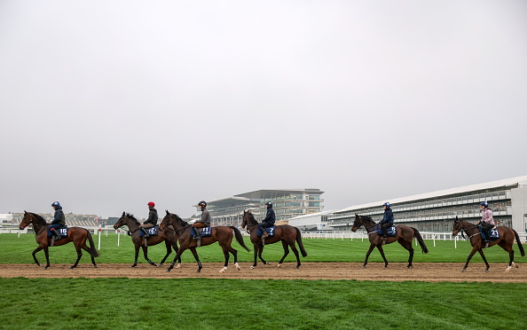 Horse Racing Picks Today at Fair Grounds for Monday, March 9 Horse Racing Picks Today at Fair Grounds for Monday, March 9