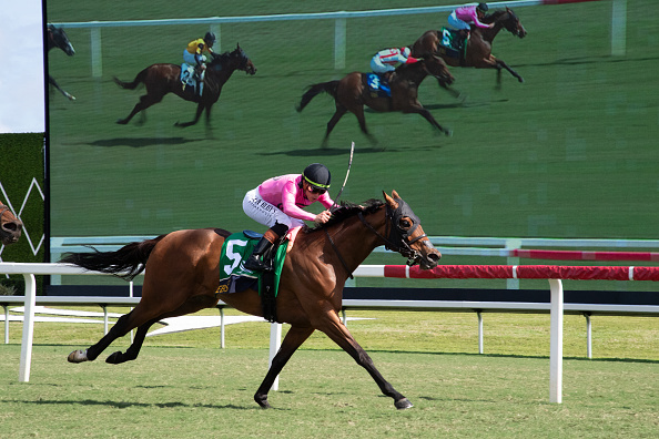 Gulfstream Park DRF Picks: Race of the Day for Thursday, April 2 Gulfstream Park DRF Picks: Race of the Day for Thursday, April 2