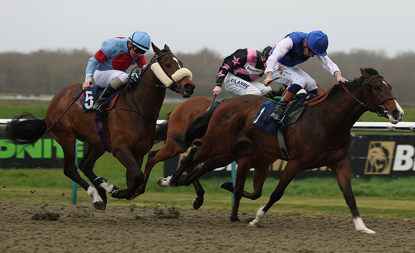Horse Racing Picks Today at Gulfstream Park for Saturday, March 28 Horse Racing Picks Today at Gulfstream Park for Saturday, March 28