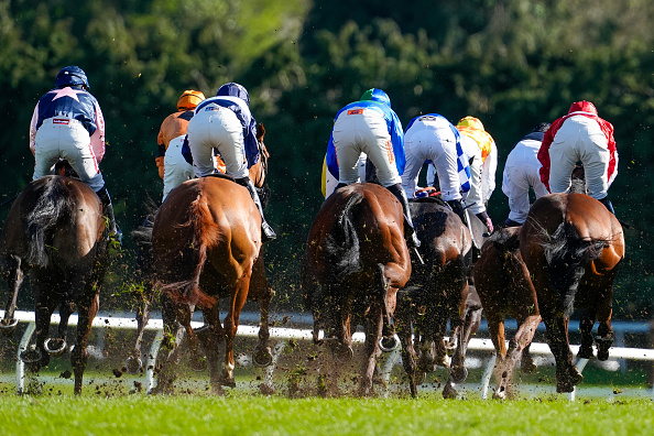 2026 Grade 2 Wood Memorial Stakes at Aqueduct: Picks, preview, and analysis 2026 Grade 2 Wood Memorial Stakes at Aqueduct: Picks, preview, and analysis