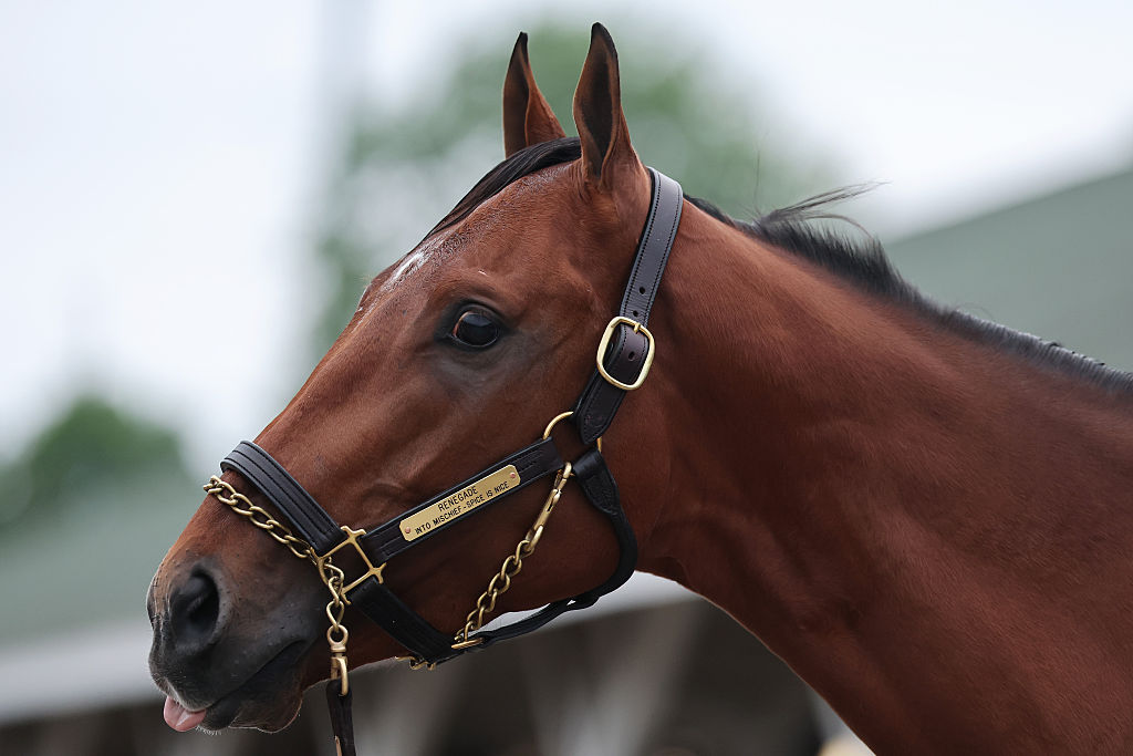 Kentucky Derby Best Bets, Churchill Downs Picks & Predictions, Triple Crown Betting Guide Kentucky Derby Best Bets, Churchill Downs Picks & Predictions, Triple Crown Betting Guide