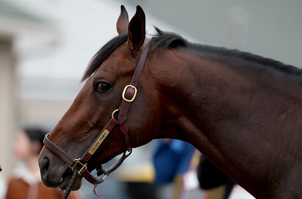 Churchill Downs Horse Racing Picks Today for Wednesday, April 29 Churchill Downs Horse Racing Picks Today for Wednesday, April 29