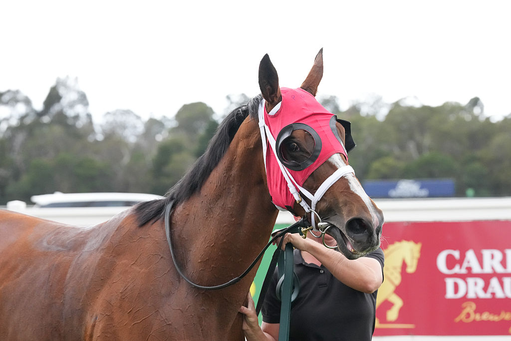 Horse Racing Picks Today at Parx Racing for Monday, May 4 Horse Racing Picks Today at Parx Racing for Monday, May 4