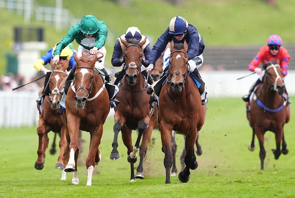 Belmont at the Big A Horse Racing Picks Today for Friday, May 8 Belmont at the Big A Horse Racing Picks Today for Friday, May 8