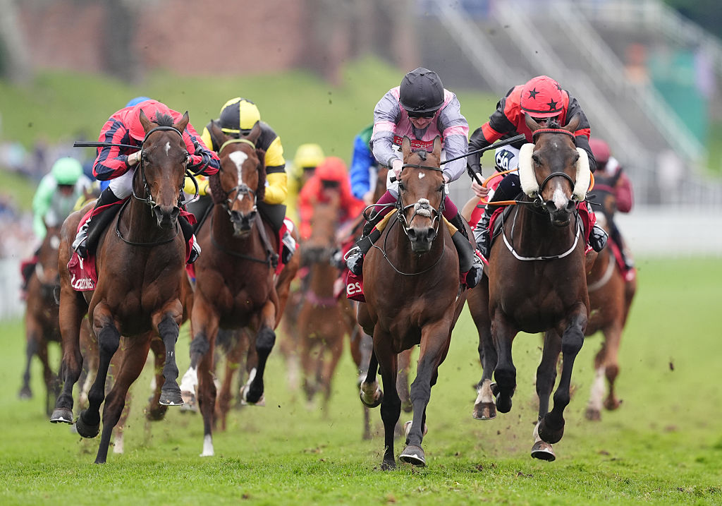 Horse Racing Picks for Saturday, May 9 from Mike Somich Horse Racing Picks for Saturday, May 9 from Mike Somich