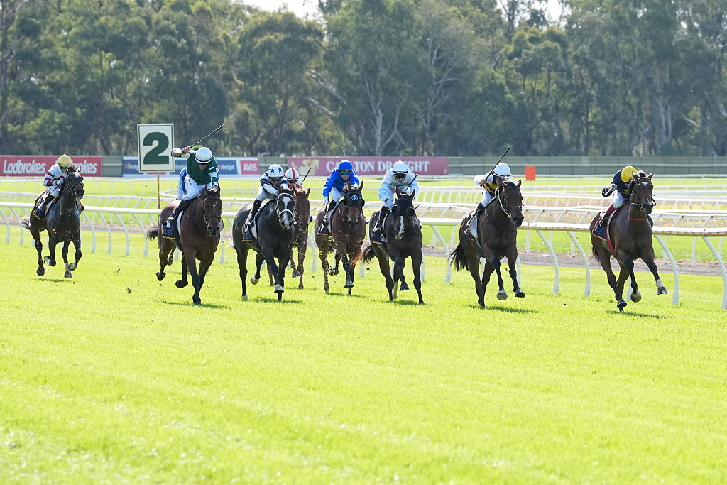 Black-Eyed Susan Stakes 2026 Entries, Horses, Odds, and Predictions Black-Eyed Susan Stakes 2026 Entries, Horses, Odds, and Predictions