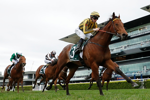 Wood Memorial Stakes 2026 Entries, Horses, Odds, and Predictions Wood Memorial Stakes 2026 Entries, Horses, Odds, and Predictions