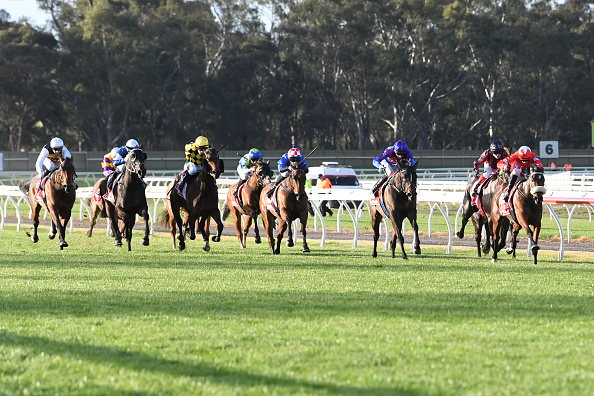 Cotillion Stakes 2025 Entries, Horses, Odds, and Predictions Cotillion Stakes 2025 Entries, Horses, Odds, and Predictions