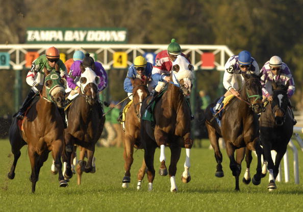 Tampa Bay Downs DRF Picks: Race of the Day for Wednesday, April 1 Tampa Bay Downs DRF Picks: Race of the Day for Wednesday, April 1