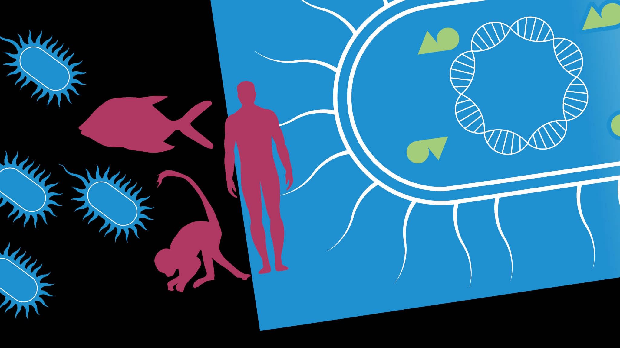 Scientists rush to stop mirror microbes that could threaten life on earth Scientists rush to stop mirror microbes that could threaten life on earth