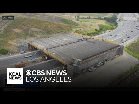 World’s Largest Wildlife Bridge Spanning 10 Lanes of 101 Freeway Is Nearly Complete World’s Largest Wildlife Bridge Spanning 10 Lanes of 101 Freeway Is Nearly Complete