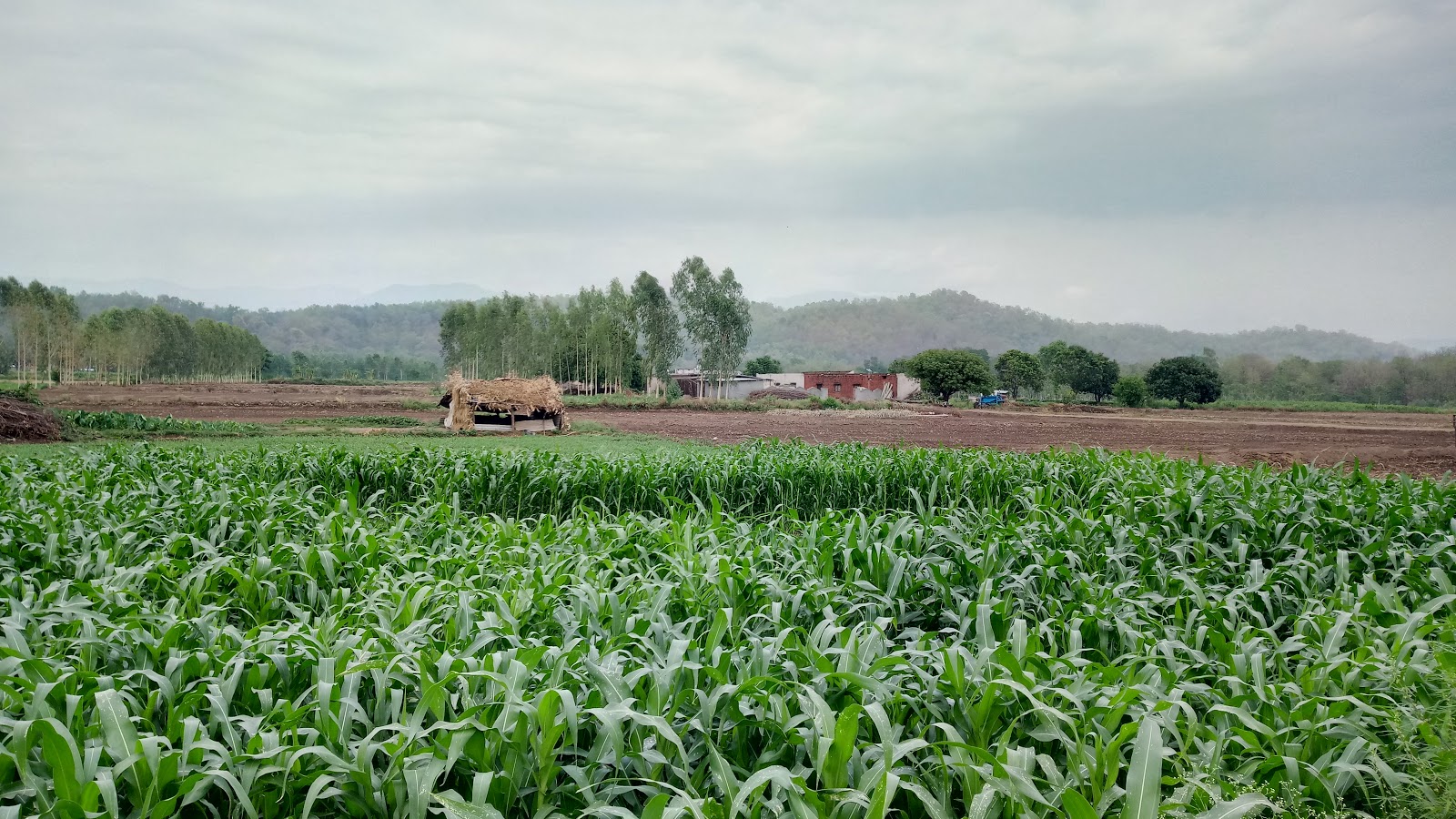 Access Denied Access Denied